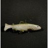 Zachl Baits - Trout (12cm)